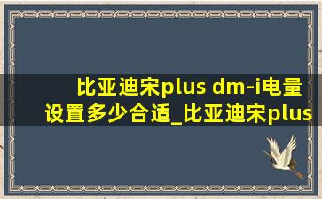 比亚迪宋plus dm-i电量设置多少合适_比亚迪宋plus dm-i电量可用多少度